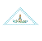 Servilletero Peter Rabbit